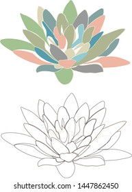 Water lily single vector illustration