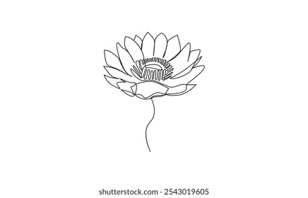 Vector de lirio de agua continuo de una línea dibujando sobre fondo blanco minimalista. Vector de Premium