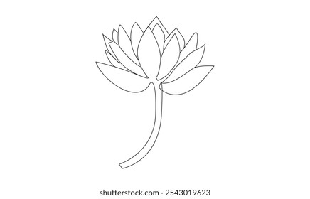 Water lily vector continuous one line drawing on white background minimalist. Premium vector