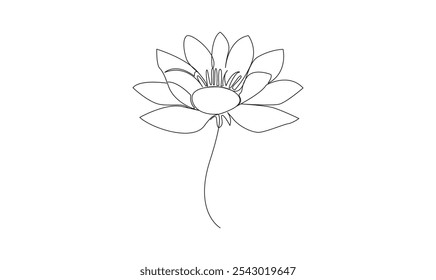 Water lily vector continuous one line drawing on white background minimalist. Premium vector