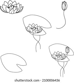 Water lily vector illustration, july birth month flower clipart set, minimal floral doodle design