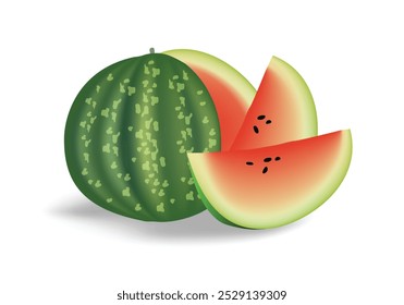 Fruta de melón de agua, Ilustración vectorial de color rojo y verde para Elementos de diseño.