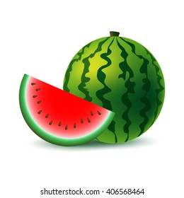 Water melon isolated on white background. Vector