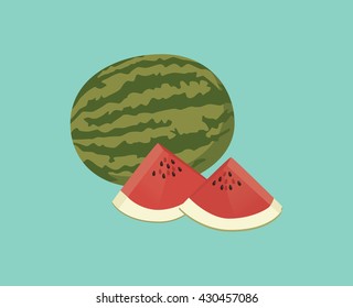 water melon single isolated with blue background vector graphic illustration