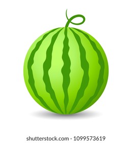 Water melon vector icon illustration isolated on white background