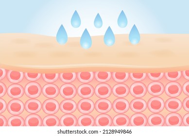 Water with Moisture drop on the epidermis of Skin. Illustration about Hyaluronic Acid reduces the appearance of fine lines and wrinkles.