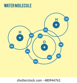 Water molecul vector in eps 8