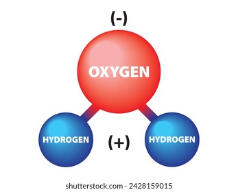 Water molecule, Water molecule icon, science, science icon isolated on white background. 