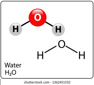 Water Molecule Structure