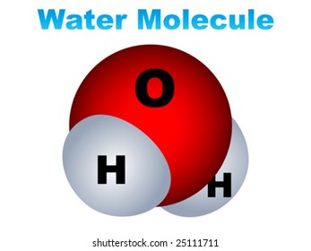 Water molecule vector illustration