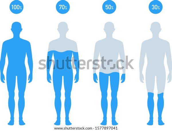 人体図の水の割合 グラフ のベクター画像素材 ロイヤリティフリー