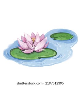 Water pink lily pond watercolor illustration vector isolated on white background. Calming and beautiful drawing with brush stroke texture