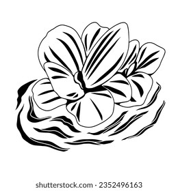 Water Plant icon, True Black Icon