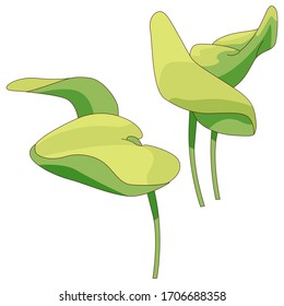 Water plant sticker set on white isolated backdrop. Waterlily for invitation or gift card, scrapbook, notebook sticker, bath tile. Phone case or cloth print art. Drawn style stock vector illustration