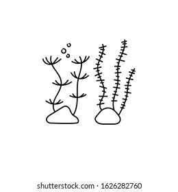 Water plants, seaweed. Hand drawn line icon, vector logo template illustration. Aquarium care . Black on white .