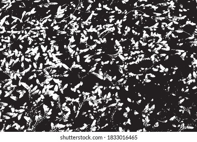 Las plantas de agua arrojan hierba de agua textura vectorial blanca negra