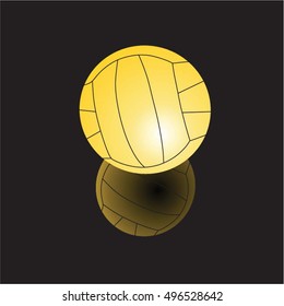 water polo ball vector