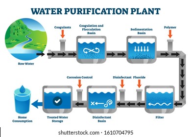 Water purification plant filtration process explanation vector illustration. Labeled steps from raw resource to sedimentation, filtering, disinfection and storage to safe and clean home consumption.