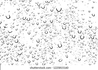 Water Rain Drop Vector Illustration