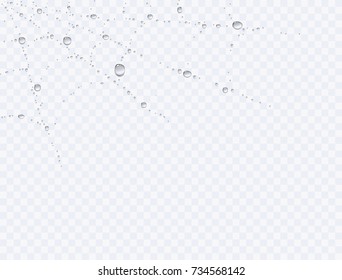 Water rain drops cobweb effect isolated on transparent background. Realistic dew decor corner or droplets spiderweb for your Halloween design. 
