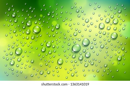 Water rain drops or condensation over blurred green nature background beyond the window, realistic transparent 3d vector illustration, easy to put over any background.