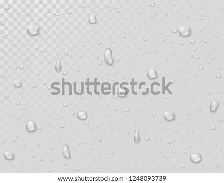 Water rain drops. Droplets on transparent wet glass window. Photorealistic water shower drops vector background