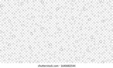 Water rain drops on transparent background, realistic style, vector elements. Clean drop condensation. Vector pure bubbles on window glass