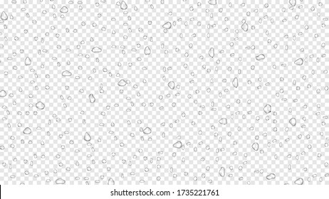 Water Rain Drops On Transparent Background, Realistic Style, Vector Elements. Clean Drop Condensation. Vector Pure Bubbles On Window Glass