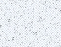 Water Rain Drops Or Steam Shower Isolated On Transparent Background. Realistic Pure Droplets Condensed. Vector Clear Vapor Water Bubbles On Window Glass Surface For Your Design.