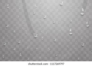Water rain drops or steam shower isolated on transparent background. Drops of water, falls dew. Realistic pure water droplets condensed. Vector clear vapor bubbles on window glass surface for design.