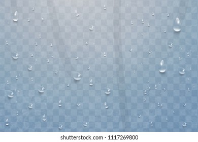 Water rain drops or steam shower isolated on transparent background. Drops of water, falls dew. Realistic pure water droplets condensed. Vector clear vapor bubbles on window glass surface for design.