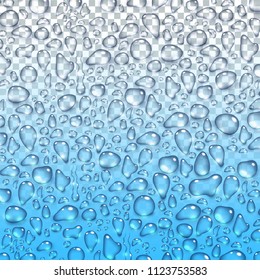 Water rain drops or steam shower isolated on transparent background. Realistic pure droplets condensed. Vector clear vapor water bubbles on window glass surface for your design.