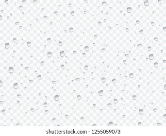 Water rain drops or steam shower isolated on transparent background. Realistic pure droplets condensed. Vector clear vapor water bubbles on window glass surface for your design.