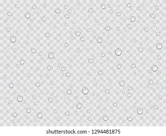 Water rain drops or steam shower isolated on transparent background. Realistic pure droplets condensed. Vector clear vapor water bubbles on window glass surface for your design.