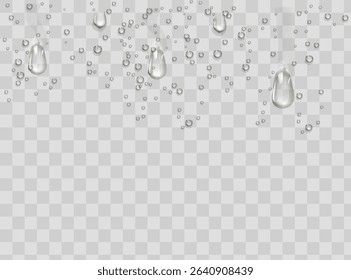 Water rain drops or steam shower isolated on transparent background. Realistic pure droplets condensed. Vector clear vapor water bubbles on window glass surface for your design.