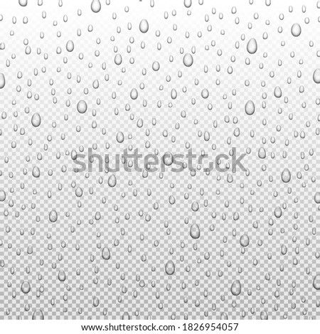 Water rain drops or steam shower isolated on transparent background. Realistic pure droplets condensed, vector illustration