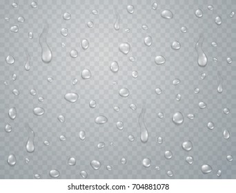 Water rain or shower drops isolated on transparent background. Realistic pure water droplets condensed. Vector clear vapor bubbles on window glass surface for your design.