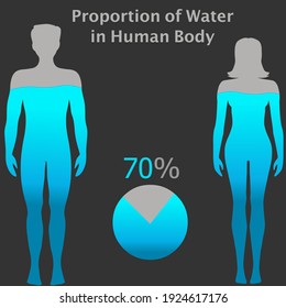 Water ratio in male and female body. Human proportion h2o. Woman and man silhouettes, filled percent 70 % water. Pie chart. Gray blue boy, girl figures. Black background. Lifestyle illustration vector