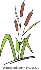 Water reed