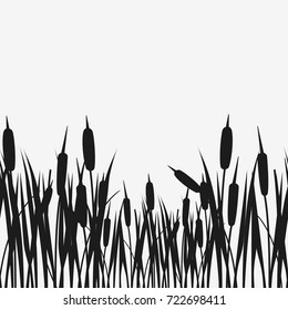 Water Reed Plant Cattails black silhouette. Vector illustration