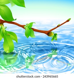 Water ripple and green leaves and buds; Spring fresh natural background; Vector Eps10; No Mesh