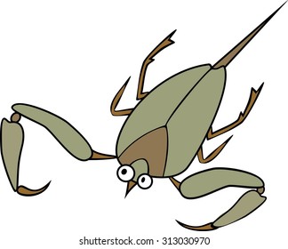 Water scorpion