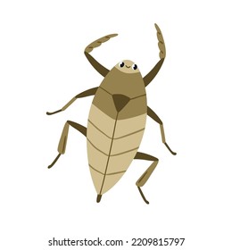 Water Scorpion, Cute Funny Insect. Needle Bug, Aqua Beetle Top View. Happy Smiling Aquatic Nepidae Character. Childish Flat Vector Illustration Isolated On White Background