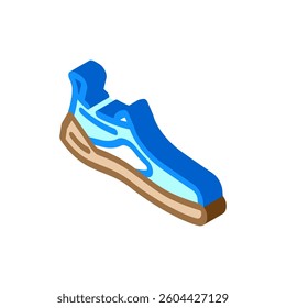water shoes footwear tourism isometric icon vector. water shoes footwear tourism sign. isolated symbol illustration