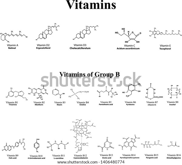 Water Soluble Molecular Formulas Vitamins Infographics Stock Vector ...