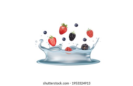 Wasser spritzt mit Waldfrüchten. Vektorgrafik