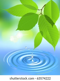 Water splash and leaves. All elements and textures are individual objects. Vector illustration scale to any size.