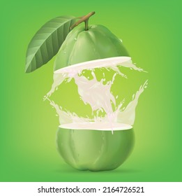 Water splashing on Green guava fruit over green background.