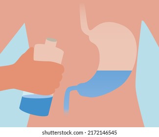 Wasser in Magen und Flasche. Anatomische Vektorgrafik. Persönlichkeit beim Trinken
