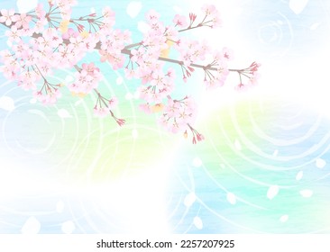 Water surface, light, and water ripples that look like a vague haze, and branch tips with blooming cherry blossoms